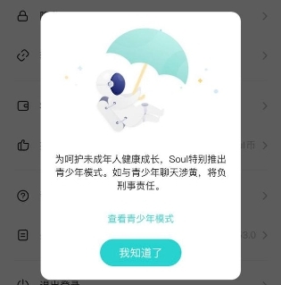 Soul持续完善社交风控体系 守卫青少年绿色社交空间(图2)