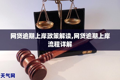 泛亚电竞网贷逾期上岸政策解读网贷逾期上岸流程详解(图1)