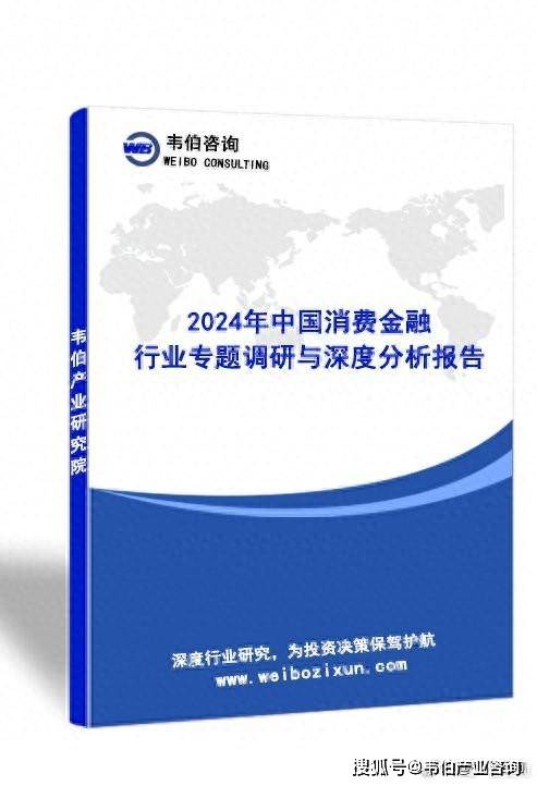 泛亚电竞官方韦伯咨询：2024年中国消费金融行业专题调研与深度分析报告(图1)